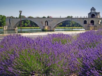 The  St.-Benezet bridge in Avignon, France