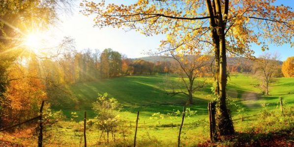 herbst